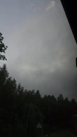 The video shows a view from inside a vehicle looking out at a treeline under a cloudy sky. The trees are dark green and appear to be evergreen and deciduous. The sky is a uniform gray, suggesting overcast conditions. The vehicle appears to be moving, as the trees are slightly blurred, and the view is framed by what looks like the edge of a window. There are no people visible in the video.