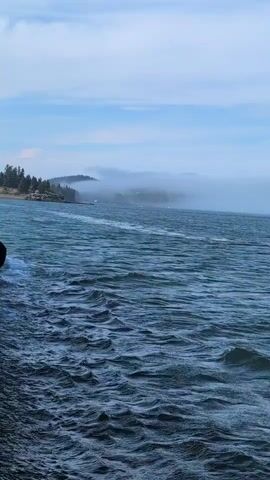 A body of water with choppy waves is shown. In the distance, a shoreline with trees and buildings is visible, partially obscured by fog. The sky is cloudy with patches of blue. The camera appears to be positioned near the water's edge.