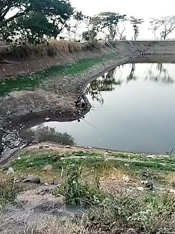 A still, wide shot captures a serene body of water bordered by a muddy embankment covered in sparse green vegetation. The embankment is littered with debris, including plastic bags and other refuse. Several trees with distinct silhouettes stand along the far bank, their reflections shimmering on the water's surface. In the foreground, three individuals are gathered near the water's edge, seemingly engaged in fishing, with fishing rods extending into the water. The sky is a pale, overcast white, and the overall atmosphere is one of quiet outdoor activity.