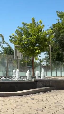 The video captures a lively fountain with multiple jets of water spraying upwards against a backdrop of lush green trees and a clear blue sky. The fountain appears to be set within a paved area, possibly a park or public square, with patterned brickwork visible in the foreground. Behind the fountain, a large, leafy tree stands prominently, its branches spreading wide. Further in the background, glass partitions and more foliage suggest a well-maintained outdoor space. The lighting indicates it is daytime, likely sunny, casting a bright glow on the scene. The water in the fountain is actively moving, creating a dynamic visual effect.