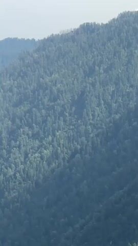 The video shows a drone shot of a lush green forest covering a mountainside. The camera then transitions to a first-person perspective from a boat moving on a body of water. The boat creates a wake as it travels past a tree-covered mountain range. The sky is partly cloudy. The video appears to capture a scenic view of a mountainous landscape from both a high vantage point and from the water.