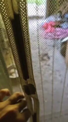 The video begins by showing a green wooden door slightly ajar, revealing a glimpse of an outdoor area. Inside the doorway, a metal bowl containing what appear to be a few light-colored, rounded objects, possibly eggs, rests on the ground. The ground inside appears to be a mix of dirt and some debris. To the left of the bowl, a wooden ladder is leaning against a wall.

As the camera pans slightly, the doorway opens wider, showing more of the outdoor environment. The ground outside is rough and uneven, with patches of grass and gravel. In the distance, there is a blue bowl containing white objects, and a black bucket. Lush green foliage is visible behind these items.

To the right of the doorway, inside the structure, a pile of brightly colored clothes, including red and purple fabric, is heaped on the ground. More debris and what looks like a spade are also visible on the floor near the door. The lighting suggests it is daytime, with natural light streaming in from the open doorway. The overall impression is of a somewhat cluttered, utilitarian outdoor or semi-outdoor space.