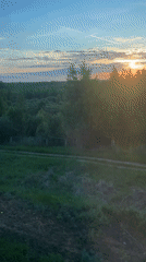 Dawn train journey through green countryside captured by witness