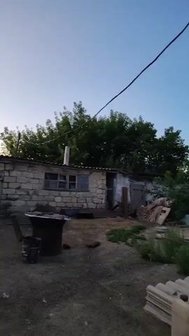 THE VIDEO SHOWS A WIDE SHOT OF A RURAL OR SEMI-RURAL SETTING. IN THE FOREGROUND IS A SMALL, ROUGHLY BUILT STRUCTURE MADE OF STONE AND CONCRETE, WITH A CORRUGATED ROOF. IT HAS SEVERAL WINDOWS AND A DOORWAY. THERE IS A CHIMNEY STICKING OUT OF THE ROOF. TO THE LEFT, THERE IS WHAT APPEARS TO BE A LARGE METAL DRUM AND SOME OTHER UNIDENTIFIED OBJECTS. THE BACKGROUND IS DOMINATED BY A DENSE CLUSTER OF GREEN TREES. ABOVE THE TREES, POWER LINES ARE VISIBLE STRETCHING ACROSS THE FRAME, SUPPORTED BY A UTILITY POLE. THE SKY IS A PALE BLUE, INDICATING IT IS LIKELY DUSK OR DAWN. THE OVERALL ATMOSPHERE IS ONE OF RUSTIC SIMPLICITY AND TRANQUILITY.