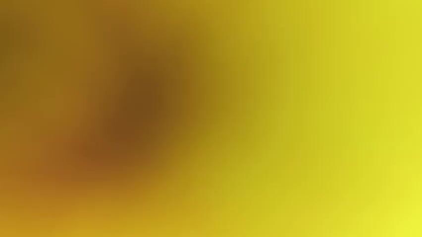 The video begins with an out-of-focus, yellow background. The view then changes to a close-up, out-of-focus view of a bright yellow dandelion surrounded by grass and wooden planks. The shot remains out of focus throughout the brief video.