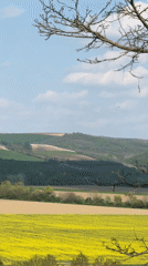 Spring landscape captured on video near Tsenovo, Bulgaria