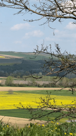 Spring landscape captured on video near Tsenovo, Bulgaria
