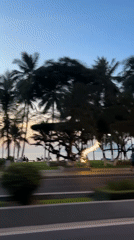 Dusk footage captures palm-lined coastal road in Nha Trang