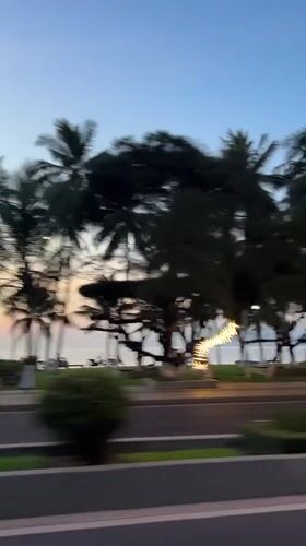 Dusk footage captures palm-lined coastal road in Nha Trang