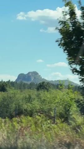 The video shows a landscape with a bright blue sky and scattered white clouds. In the distance, a rocky mountain formation is visible. The foreground is filled with green and dry vegetation, appearing as fields or meadows. A few trees are scattered throughout the scene. A metal guardrail runs along the bottom of the frame, suggesting the footage was taken from a moving vehicle. Several fence posts are also visible among the vegetation. The lighting indicates it is daytime, likely sunny. There are no people or animals visible in the video.
