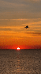 Vivid sunset captured over ocean waters in Ukraine