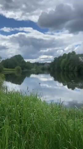 The video shows a still shot of a serene lake surrounded by lush green vegetation. The foreground features tall grasses swaying gently in the breeze, providing a natural frame to the scene. The calm water of the lake mirrors the sky above, reflecting a mix of fluffy white clouds and patches of blue. The shoreline is lined with green trees that add depth and a sense of enclosure to the view. The overall atmosphere is peaceful and tranquil, with a clear focus on the natural beauty of the landscape.
