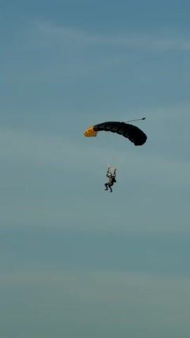 A skydiver descends under a black and yellow parachute against a clear blue sky. As the skydiver gets closer to the ground, a green field and trees become visible in the background, separated by a chain-link fence. The skydiver appears to be controlling the parachute's descent.