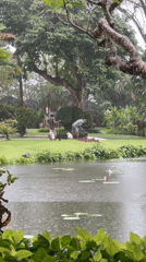 Morning fitness routines captured at Kuta Selatan facility during rainfall