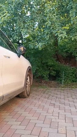 Woman poses with car, clothing details captured in Kommunarka