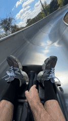 Riding a hillside luge track through Budapest's wooded terrain