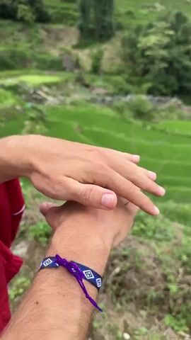 Here's a description of the video:

The video shows a person's hand with a cicada on it. The cicada is black with translucent wings. The person is outside, with a background of green rice terraces. The person is wearing a blue and white woven bracelet with a purple tie.