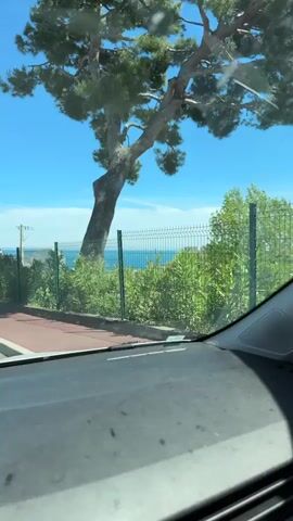 The view from inside a car shows a tree, a fence, and the ocean under a blue sky. The tree is tall and leans towards the left of the frame. The fence is made of green wire mesh and stands between the viewer and the ocean. The ocean is blue and visible in the distance. The sky is clear with a few wisps of clouds. The car's dashboard is visible at the bottom of the frame. There is a red section of sidewalk visible.