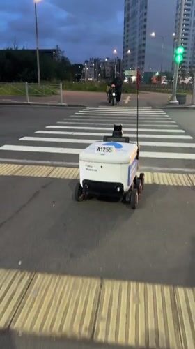 Autonomous delivery robot crosses a Saint Petersburg pedestrian crossing