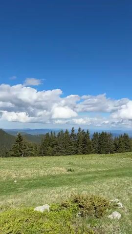 The video pans across a vast, open landscape on a clear day. The sky is a brilliant blue, dotted with fluffy white clouds. Rolling green hills stretch into the distance, covered in lush grass and scattered with rocks. In the middle ground, a dense line of dark green pine trees forms a prominent border. The camera slowly moves, revealing more of the undulating terrain and the distant, hazy outlines of mountains. The overall impression is one of natural beauty and tranquility.