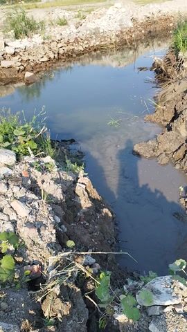 The video shows a muddy ditch filled with murky water, with piles of dirt and debris on either side. The scene appears to be a construction or excavation site, possibly for infrastructure repair or development. There are some green plants growing in the dirt, suggesting an outdoor setting. The water in the ditch is calm in some areas and slightly disturbed in others, possibly due to water flow or wind. The lighting suggests it is daytime, with sunlight casting shadows on the ground and water. There are no people or animals visible in the footage. The overall impression is one of unfinished work or a site undergoing a transformation. The rough texture of the soil and rocks, along with the presence of what appears to be a buried pipe on the left side, further reinforces the idea of an ongoing construction project in Rozdil, Ukraine.