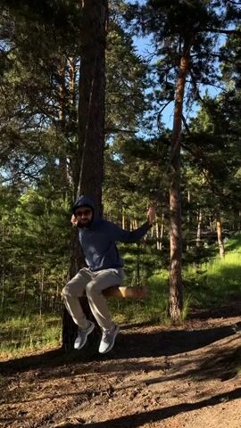 A person is swinging on a wooden swing attached to a tree. The person is wearing a blue hooded sweatshirt, light-colored pants, sunglasses, and sneakers. They are smiling and appear to be enjoying themselves. The swing is made of a roughly hewn log and hangs from chains attached to a thick tree trunk. The background is a forest with tall pine trees and dappled sunlight. The ground is covered in dry leaves and dirt. The video is shot from a slightly low angle, looking up at the person on the swing.