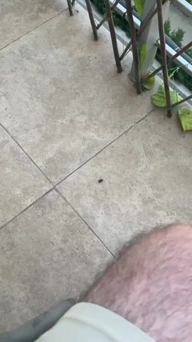 A close-up shot shows a single fly on a tiled surface. The fly is positioned in the center of the frame. The tiles appear to be a light beige color with darker grout lines. In the lower right corner of the frame, a person's bare leg is visible, with the skin appearing hairy. In the background, a metal railing and some green foliage can be seen, suggesting an outdoor setting such as a balcony or patio. The lighting suggests it is daytime.