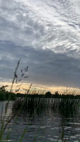 The video shows a close-up view of a body of water, likely a lake or pond, with tall reeds growing along the edge. The water is dark and reflective, with ripples on its surface. The sky above is filled with dramatic, cloudy formations, with hints of dawn or dusk light peeking through the grey masses. The overall atmosphere is serene and natural, capturing a moment of quiet beauty in a wetland environment. The camera is positioned low, near the water level, emphasizing the reeds and the vastness of the sky. There are no people or animals visible in the frame.