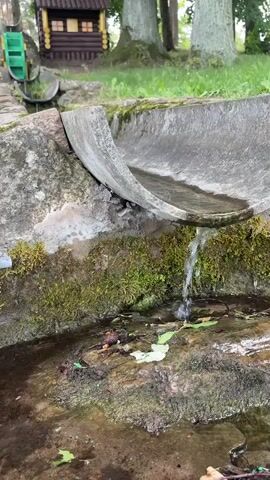 The video shows a close-up view of water flowing from a concrete channel into a natural pool. The channel is covered in moss, as is the stone wall it sits on. Leaves and debris are visible in the water and on the rocks. In the background, a small wooden structure resembling a house and a green water wheel are visible, along with trees and grass. The setting appears to be outdoors, possibly a park or garden. The lighting suggests it might be daytime, with overcast conditions. There is no visible text in the video.
