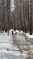 Winter trail race held in snowy Zelenodolsk forest
