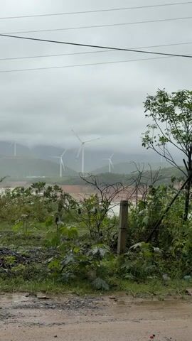 A static, medium shot captures a hazy, overcast landscape with several wind turbines visible in the distance on rolling hills. In the foreground, a dirt path is wet and muddy, with patches of gravel and debris scattered on it. Lush green vegetation, including bushes, vines, and a small tree with a visible support structure, grows along the edge of the path and further into the scene. A wooden post, likely part of a fence, stands prominently in the mid-ground amongst the foliage. The overall atmosphere is muted, suggesting recent rain or damp conditions.