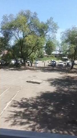 The video shows a view from a window or balcony overlooking an outdoor area. In the foreground, there is a concrete surface with shadows of leaves cast upon it. Beyond this, there is a fenced-off area with several cars parked. Trees are abundant in the scene, with lush green leaves. The sky is visible and appears clear and blue. The overall impression is that of a daytime scene in a somewhat rural or suburban environment.