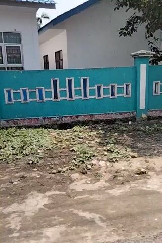 A video shows the exterior of a teal-colored building with white window frames. A palm tree stands in front of the building. The ground is dirt and gravel. Some red and orange objects, possibly bricks, are stacked near the tree. The video is shot from a low angle and is tilted.