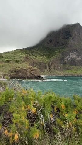 The video shows a coastal scene with a rocky cliff covered in green vegetation. The top of the cliff is shrouded in fog or clouds. Below the cliff, there's a stretch of the ocean with waves lapping against the rocky shore. In the foreground, there are green bushes with some yellow patches. The sky is overcast and grey. There are no people visible in the shot.
