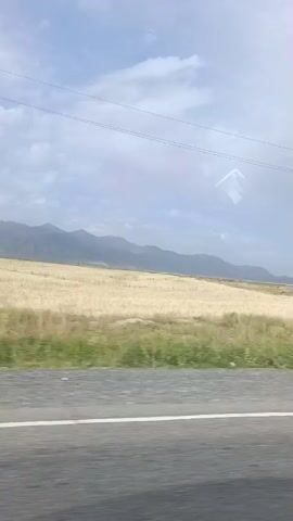 The video shows a view from a moving vehicle, looking out towards a landscape. On the left, there is a field of dry grass or wheat, bordered by a line of trees. In the distance, mountains are visible under a cloudy sky. The road in the foreground has white lane markings. As the vehicle moves, a telephone pole comes into view, followed by a gas station with a blue canopy and a small building. Further on, a simple white house with a green roof appears in the distance, also against the backdrop of mountains. The video concludes with a view of dense trees and vegetation.