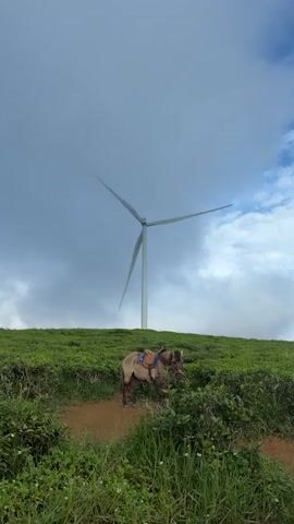 A lone horse, equipped with a saddle and bridle, stands on a dirt path beside a grassy hill. In the background, a tall, white wind turbine with three blades dominates the skyline. The sky above is a mix of dark, stormy clouds and patches of bright blue sky with white clouds. Green vegetation, including tall grasses and smaller plants, lines the sides of the path and covers the hill. The camera is positioned at a low angle, looking up towards the horse and the turbine.