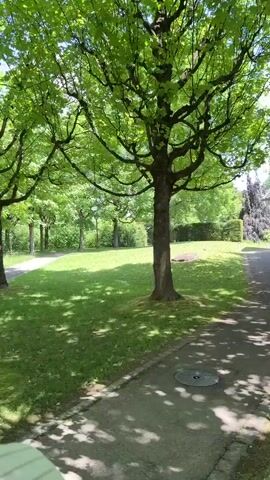 The video shows a sunny day at what appears to be a park. The camera moves along a paved path lined with trees providing dappled sunlight on the ground. There are red trash cans along the path. The camera moves past a grassy area with a sculpture. In the distance, a building with a fountain is visible, and people are gathered around picnic tables.
