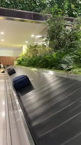 The video shows a luggage carousel at an airport. There are several suitcases on the carousel, and the carousel is moving. The background of the carousel is a lush green wall with plants and trees. There is also a sign in the background with the number 13 on it. The lighting is bright and artificial. The video is taken from a moving perspective, suggesting the person filming is walking or standing near the carousel.