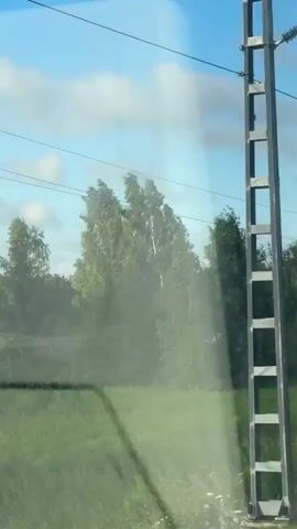 The video shows a view from inside a vehicle, looking out at a rural landscape. The perspective is slightly tilted, suggesting the vehicle is in motion. The foreground is dominated by a green, grassy field, with some taller plants and a hint of yellow flowers. A black, angled line, possibly part of the vehicle's interior, is visible in the lower left quadrant. In the mid-ground, a pole with power lines is a prominent feature, with a tall, thin pole to its right. Beyond the poles, a line of trees forms the horizon, with some trees appearing taller and more slender than others. The sky above is a bright blue with scattered white clouds. Sunlight streaks diagonally across the image, causing lens flare and obscuring some details, particularly in the mid-ground and on the right side of the frame. The overall impression is of a sunny day in the countryside.