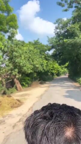 The video shows a person riding in a vehicle, possibly a tuk-tuk, on a paved road. The road is lined with lush green trees and vegetation. Sunlight filters through the leaves, creating dappled shadows on the road. In the distance, another tuk-tuk can be seen traveling in the same direction. The sky is blue with some scattered clouds. The perspective is from the back seat of the vehicle, looking forward. The driver's head is partially visible in the foreground. The road appears to be in a rural or semi-rural area.