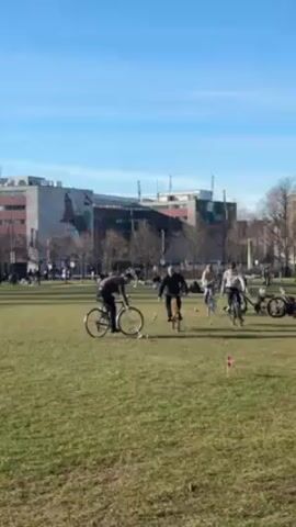 The video shows a group of people playing bike polo on a grassy field in a park. The players are riding bicycles and using mallets to hit a ball. Other people are sitting or lying on the grass in the background. There are buildings, bare trees, and a clear blue sky in the distance. A Danish flag is stuck in the ground.