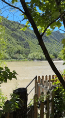 Morning scenes captured in historic Mtskheta: river cafe, carriage horse