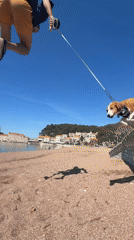 Man plays with dog on sunny Petrovac beach