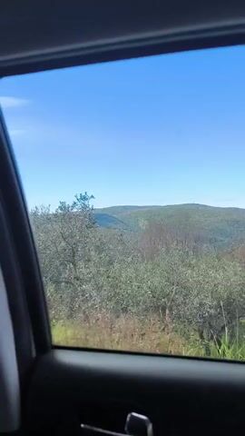 The view through the car window shows a mostly clear blue sky above a wooded landscape. The trees are mostly bare or have sparse leaves. The landscape is undulating, with a hill in the distance. There is some ground cover visible, with patches of green. The car is moving.