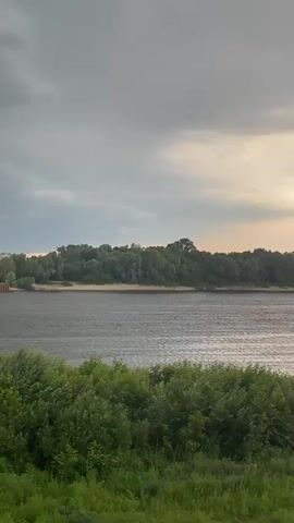 A wide river flows under a cloudy sky. The water appears dark and choppy, with ripples indicating a moderate wind. On the far bank, a dense line of green trees forms a lush backdrop. Among the trees, a sandy shore is visible. In the distance, a long, flat barge, possibly a cargo vessel, is moored near the bank. In the foreground, lush green foliage, likely bushes and grass, crowds the bottom of the frame, obscuring the immediate shoreline. The overall lighting suggests it may be late afternoon or early evening, with the cloud cover creating a subdued, diffused light.