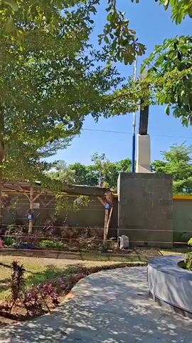 The video opens with a close-up of a tree with vibrant green leaves under a clear blue sky. The camera then pans to the right, revealing a curved pathway made of grey paving stones. To the left of the path, a small garden bed contains various plants with red and green foliage. A slender tree with a reddish-brown trunk stands in the foreground.

As the camera continues to pan, a man in a red jacket and denim shorts walks away from the camera on the pathway, heading towards a building structure with a blue awning. Behind the man, there's a large, curved, dark sculpture. To the right of the man, a gray wall with a yellow trim is visible, along with some blue bins and a white structure that appears to be part of a building.

The view shifts again to the right, showing more of the green tree in the foreground and the blue sky. The camera then pans further right, revealing another tree with a thick, textured trunk and lush green leaves, planted within a circular raised garden bed. To the right of this tree, another similar tree is partially visible. The background consists of a long, low building with a yellow trim, and further back, power lines and trees under a bright blue sky. The video concludes with a focus on the large tree in the raised garden bed.