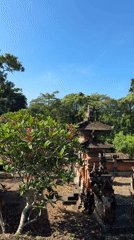 Temple visit and dog walking captured in Kediri, Indonesia