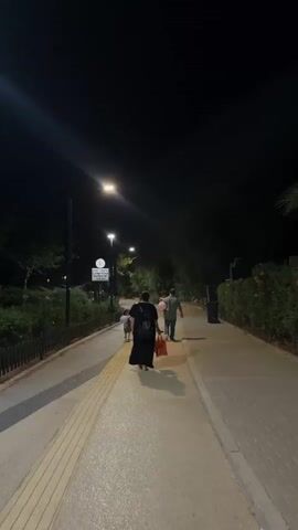 The video shows a nighttime scene of a paved walkway in an outdoor area. Three people are walking away from the camera down the walkway, illuminated by streetlights. The person in the foreground is wearing a black dress and carrying a red bag. Two other people are walking ahead of them, one of whom is also carrying a red bag. On the left side of the walkway, there is a fence and some bushes with pink flowers. On the right side, there are more bushes and a trash can. The sky is dark, and the lighting suggests it is late at night.
