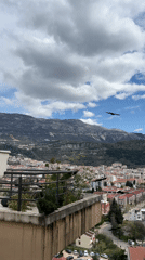 Morning breakfast and daily life documented across Budva