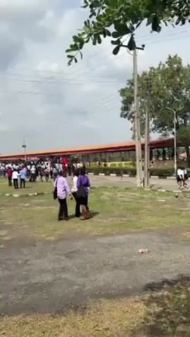 The video shows a large group of people gathered outside of a building with a red roof. The people are of various ages and ethnicities, and they are standing and walking around. The environment is mostly paved, with some grassy patches, and there are trees and power lines visible. The day appears to be overcast, with a cloudy sky.